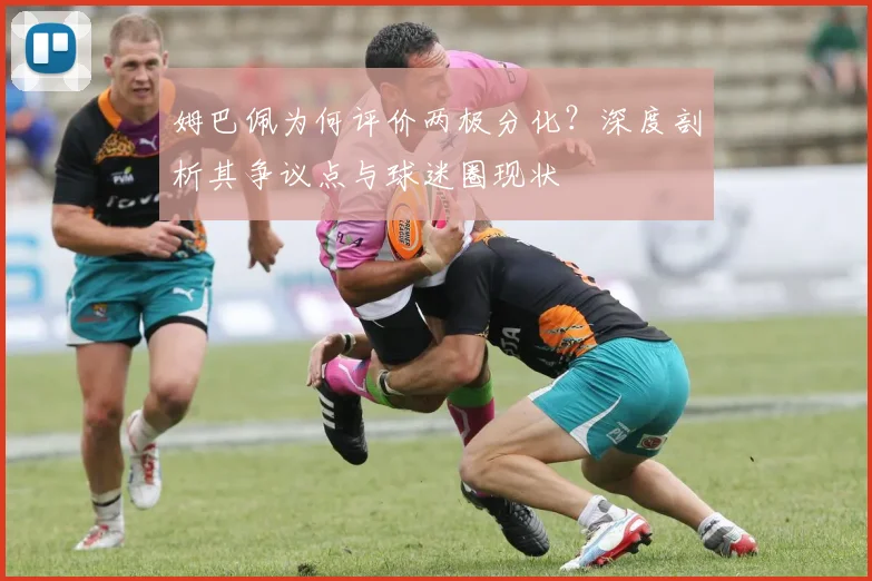 姆巴佩为何评价两极分化？深度剖析其争议点与球迷圈现状