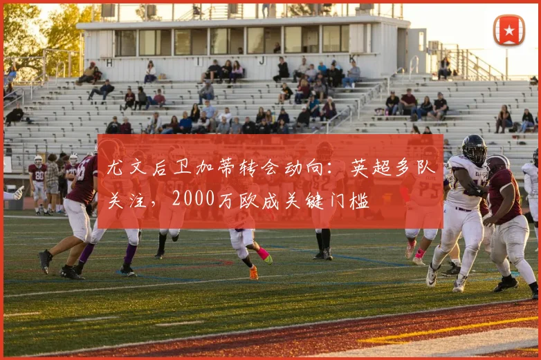 尤文后卫加蒂转会动向：英超多队关注，2000万欧成关键门槛