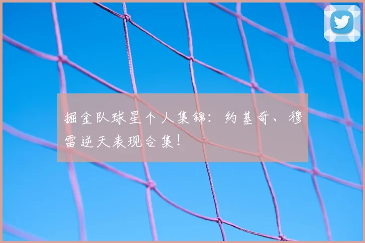 掘金队球星个人集锦：约基奇、穆雷逆天表现合集！