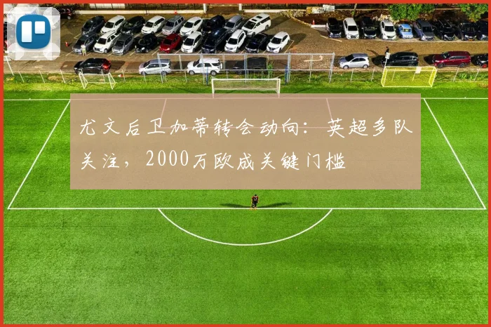 尤文后卫加蒂转会动向：英超多队关注，2000万欧成关键门槛