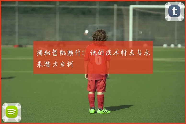揭秘哲凯赖什：他的技术特点与未来潜力分析